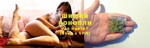 mix Бородино