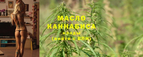 mix Бородино