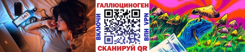 даркнет как зайти  OMG ссылка  Новокубанск  Псилоцибиновые грибы мухоморы 